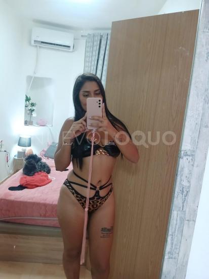 NuevoLoquo2