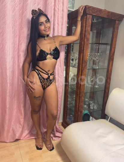 NuevoLoquo4