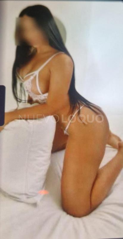 NuevoLoquo1