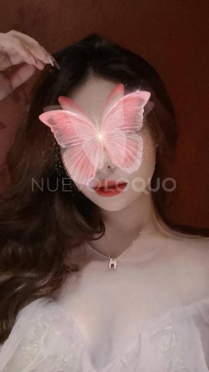 NuevoLoquo2