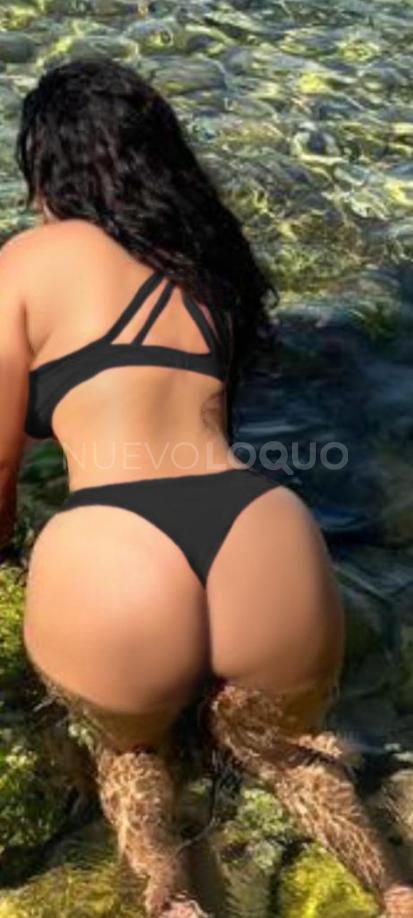 NuevoLoquo2