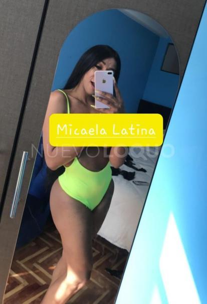 NuevoLoquo3