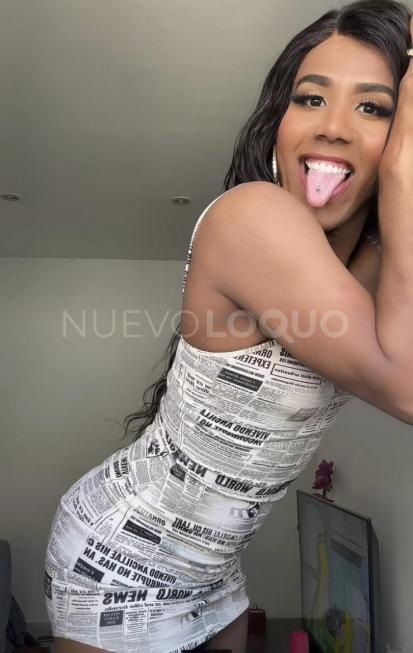 NuevoLoquo3