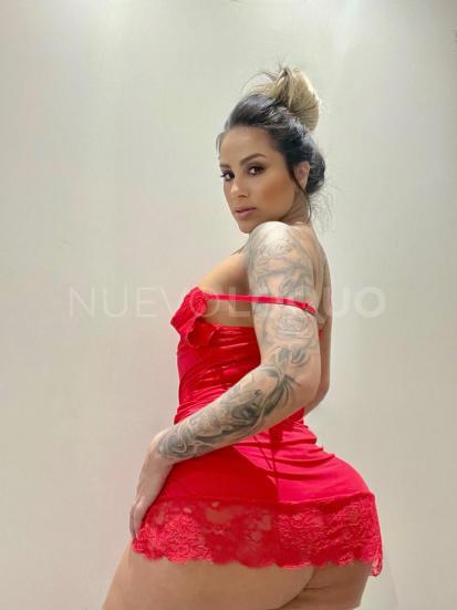 NuevoLoquo3