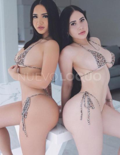 NuevoLoquo4