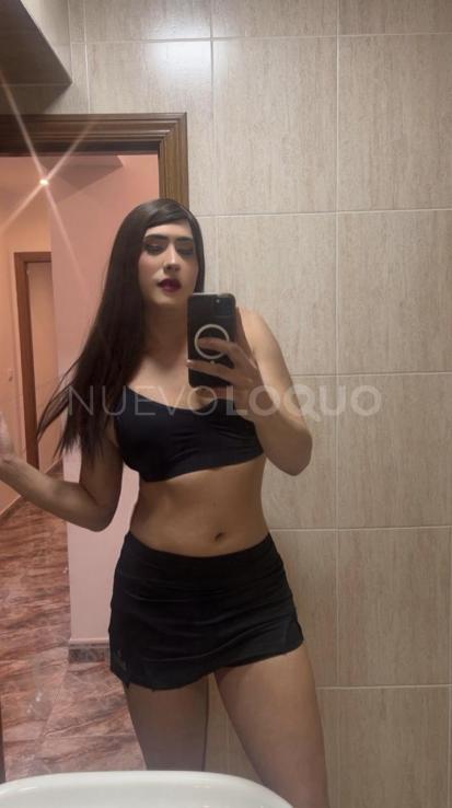 NuevoLoquo3