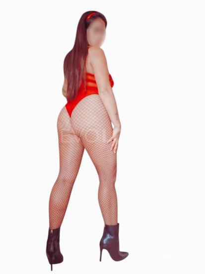 NuevoLoquo2