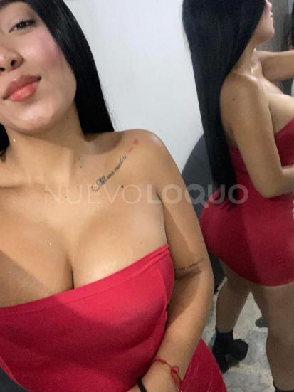 NuevoLoquo4