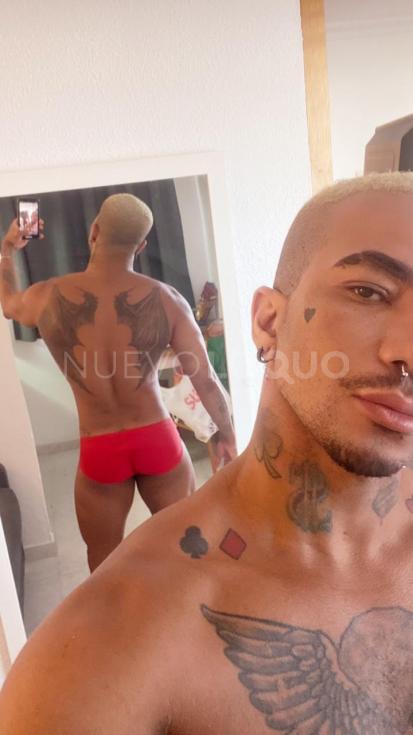 NuevoLoquo3