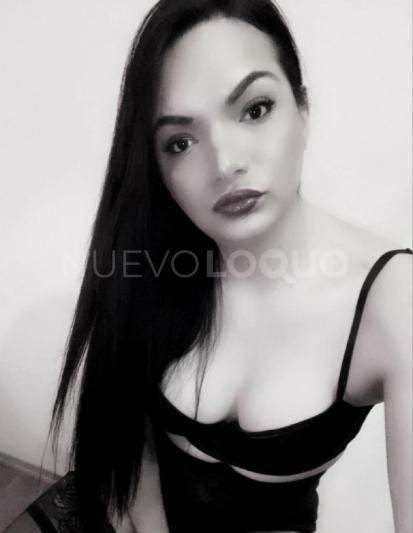 NuevoLoquo2