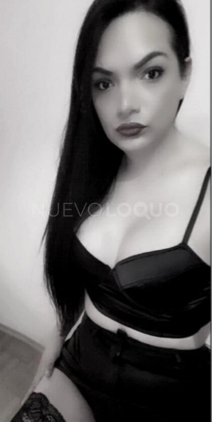 NuevoLoquo4