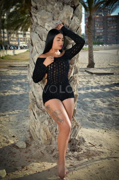NuevoLoquo1
