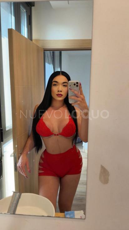 NuevoLoquo5