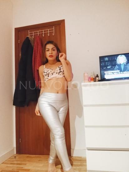 NuevoLoquo3