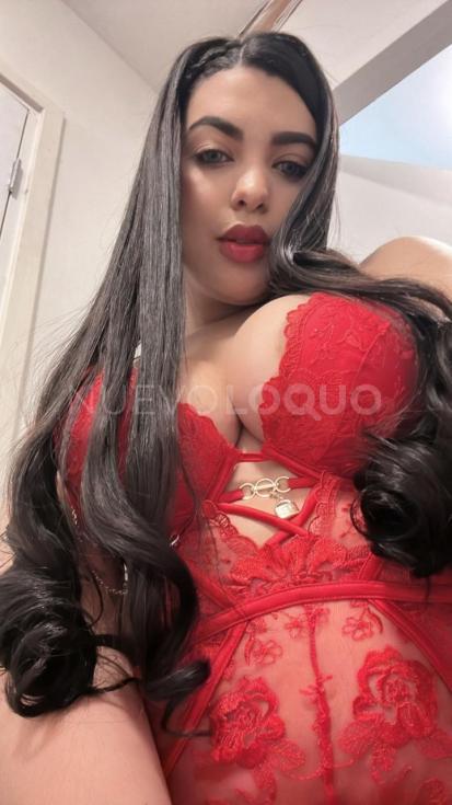 NuevoLoquo2