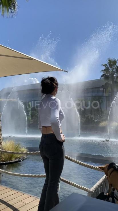 NuevoLoquo4