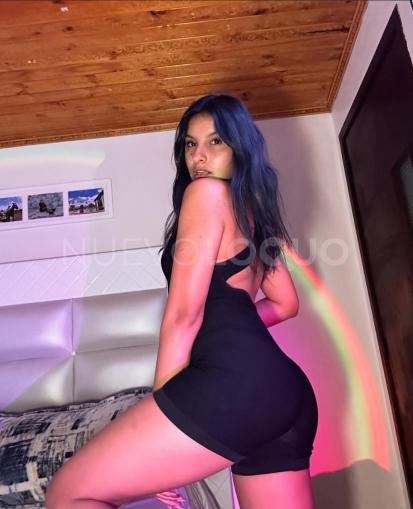 NuevoLoquo3