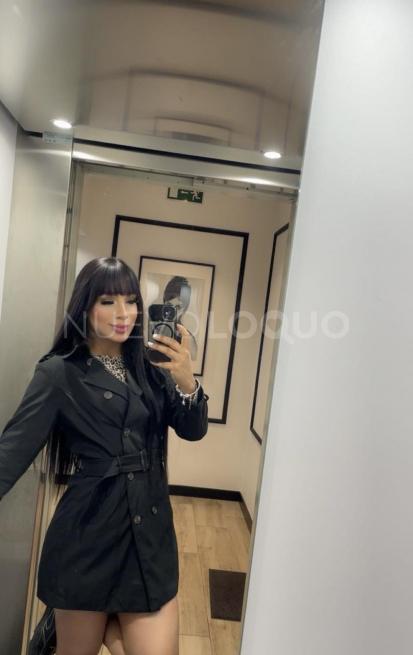 NuevoLoquo3