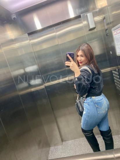 NuevoLoquo3