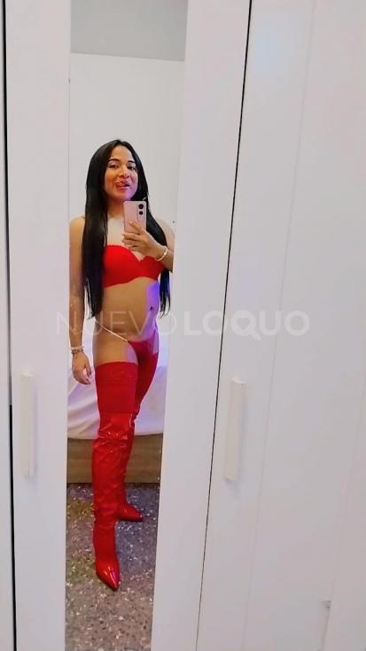 NuevoLoquo3