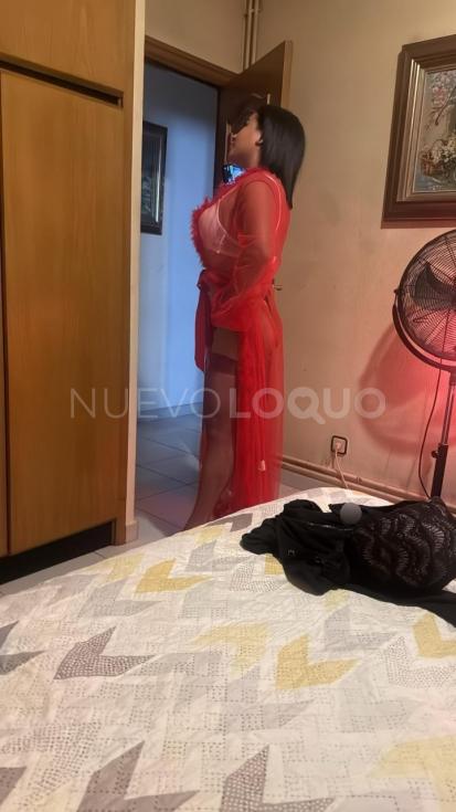 NuevoLoquo4