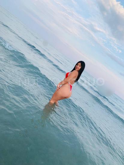 NuevoLoquo4
