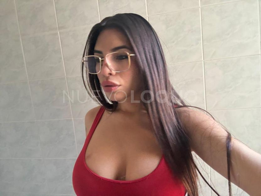 NuevoLoquo3