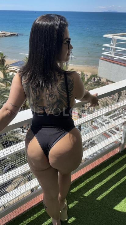NuevoLoquo3