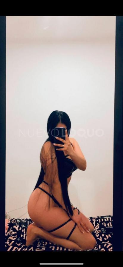 NuevoLoquo4