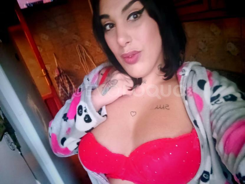 NuevoLoquo3