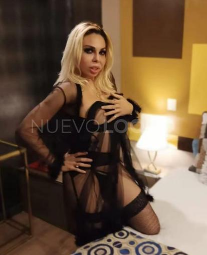 NuevoLoquo1
