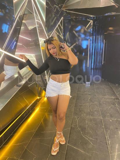 NuevoLoquo3