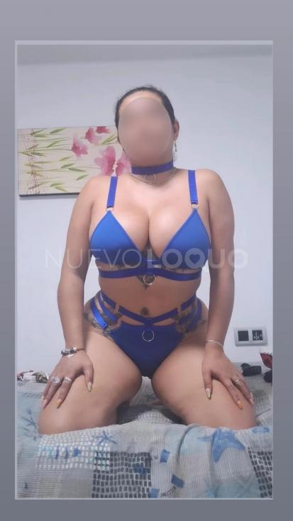 NuevoLoquo4