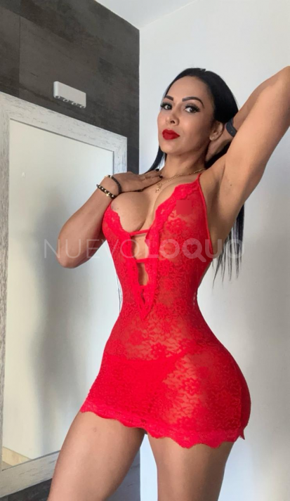NuevoLoquo2