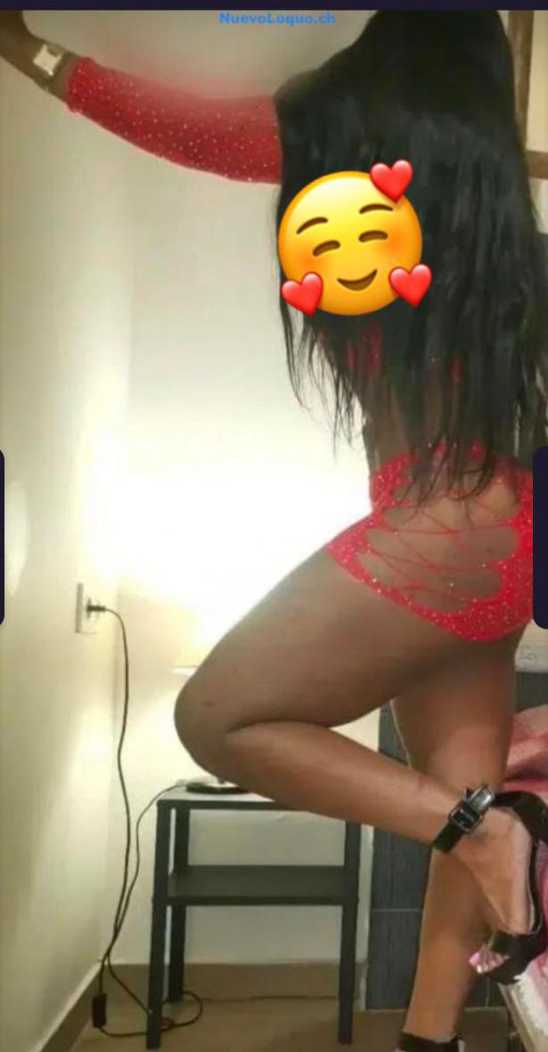 contactos pasion