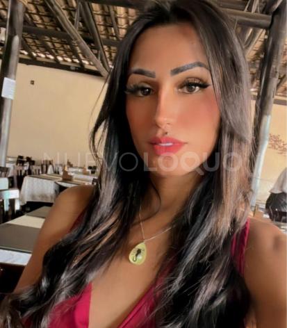 NuevoLoquo3
