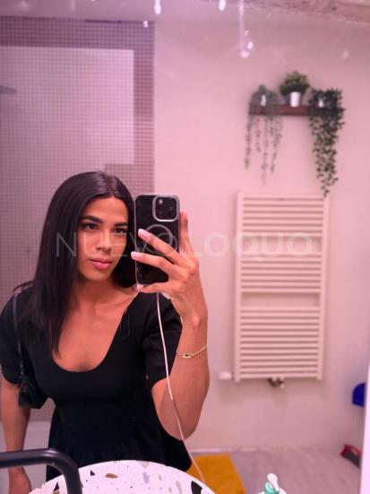 NuevoLoquo4