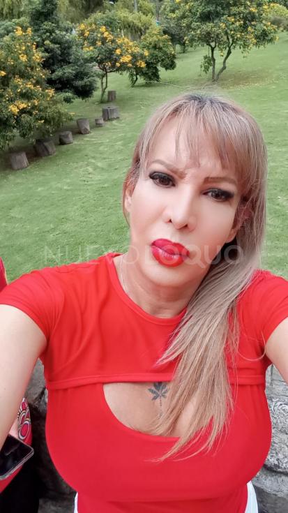 NuevoLoquo5