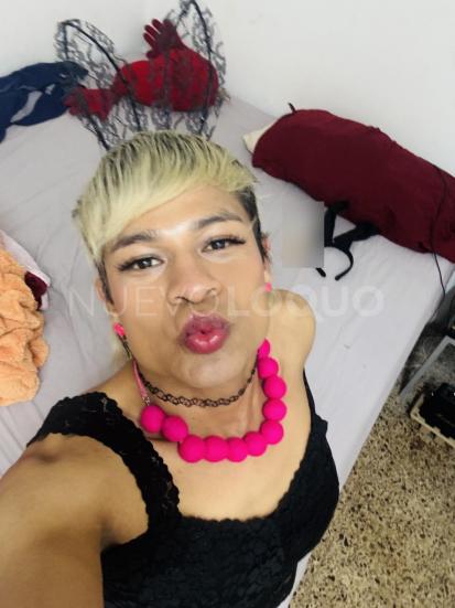 NuevoLoquo3