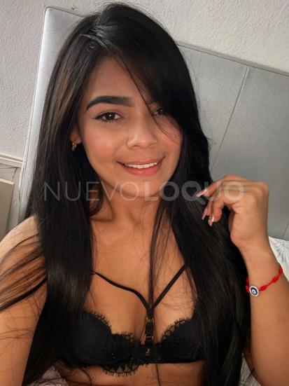 NuevoLoquo2