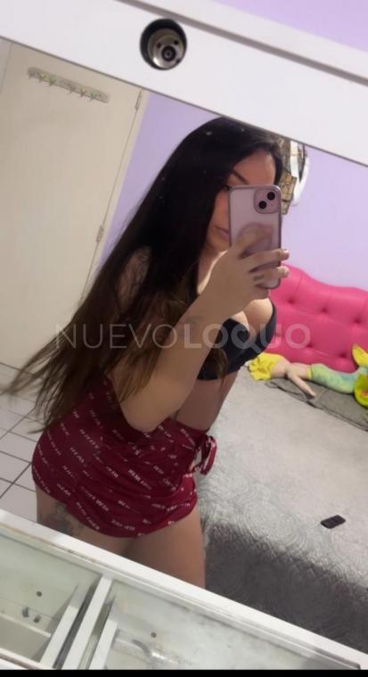 NuevoLoquo3