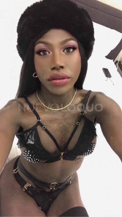 NuevoLoquo3