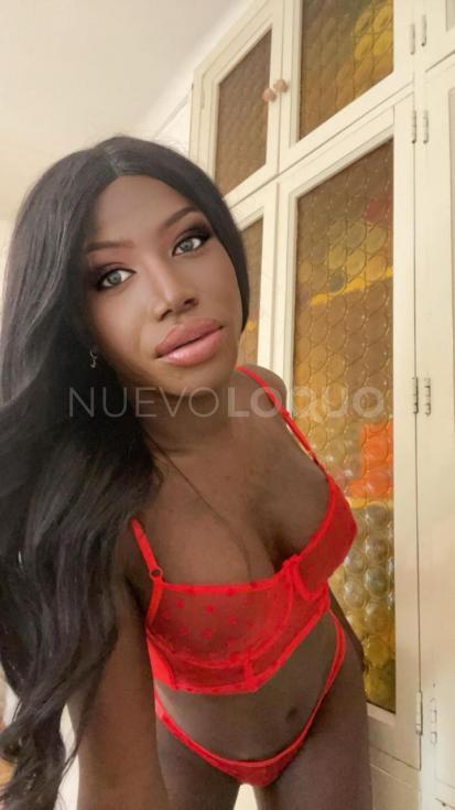  CHOCOLATE TRANS
