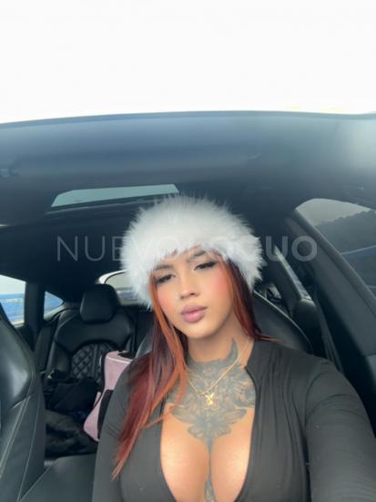 NuevoLoquo4