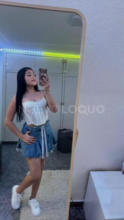 NuevoLoquo5