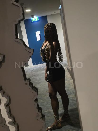 NuevoLoquo3