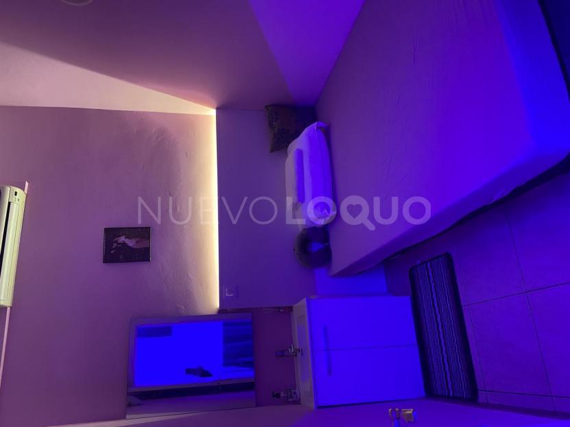 NuevoLoquo1