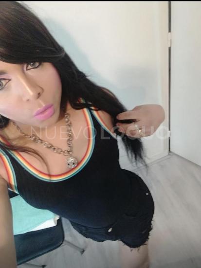 NuevoLoquo2