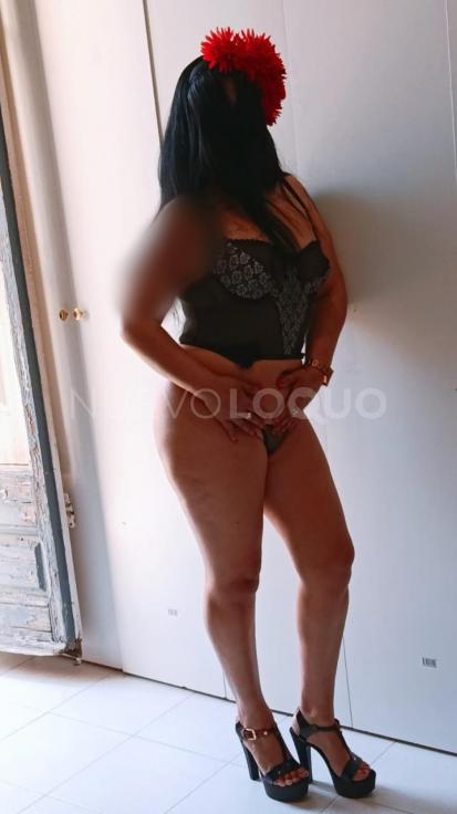 NuevoLoquo4