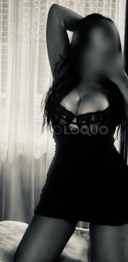 NuevoLoquo2